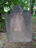 IMG 4156