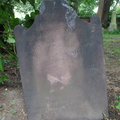 IMG 4156
