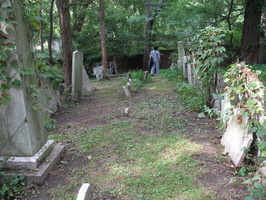 IMG 4167