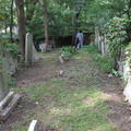 IMG 4167