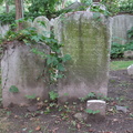 IMG 4176