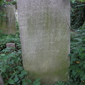 IMG 4186