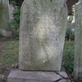 IMG 4189