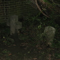 IMG_4300.JPG