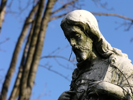 St. Raymond Cemetery, Bronx