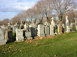 St. Raymond Cemetery, Bronx