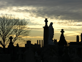 St. Raymond Cemetery, Bronx