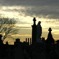 St. Raymond Cemetery, Bronx