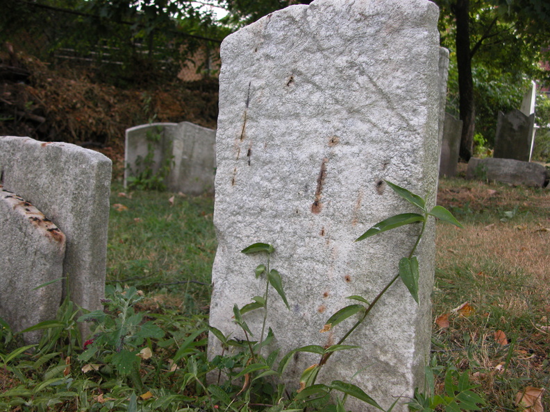 DSCN3179.JPG