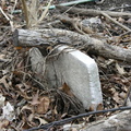 DSCN3163 001