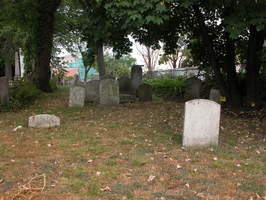 DSCN3164