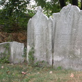 DSCN3170