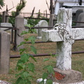 DSCN3190