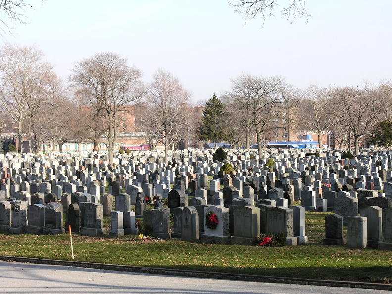 DSCN1728.JPG