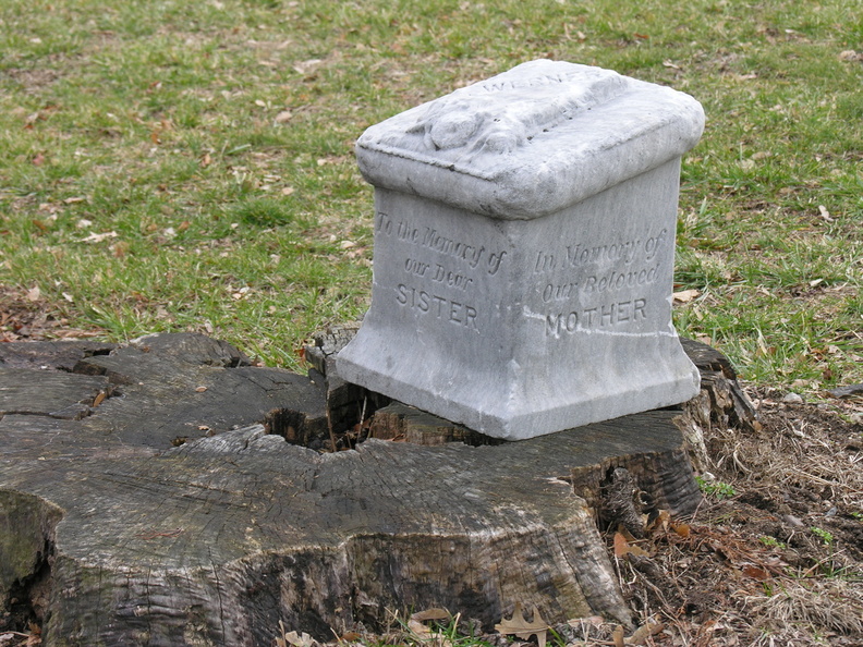 DSCN1062.JPG