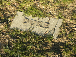 DUKE