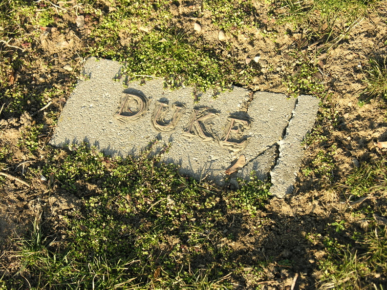 DSCN2801.JPG