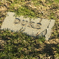 DSCN2801.JPG