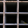 DSCN3825
