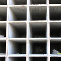 DSCN3826