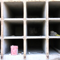 DSCN3832