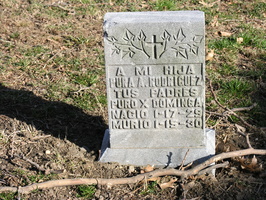 Plot 6