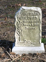 Parilovits