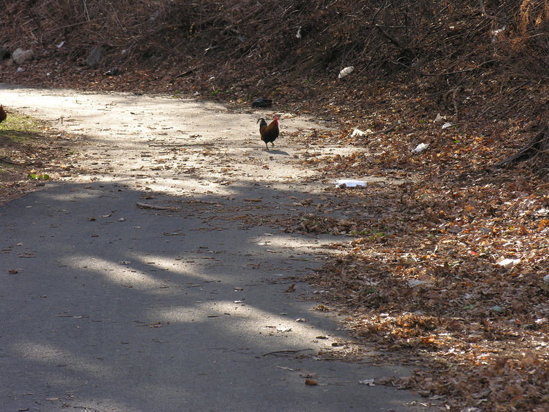 DSCN1193.JPG