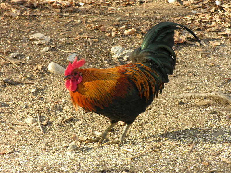 DSCN1209.JPG
