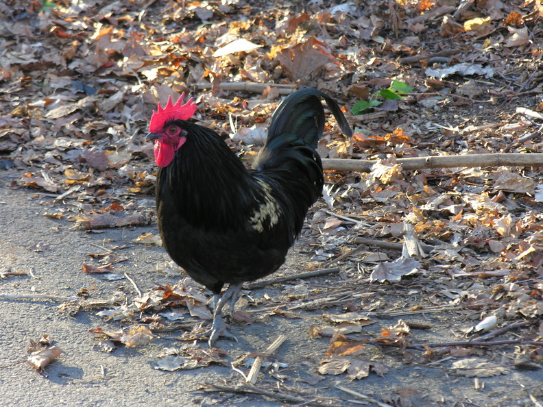 DSCN1458.JPG