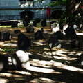 King's Chapel Burial Ground in Boston