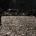 100,000,000 Pennies at Rockefeller Center