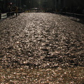 100,000,000 Pennies at Rockefeller Center