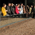 100,000,000 Pennies at Rockefeller Center