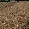 100,000,000 Pennies at Rockefeller Center