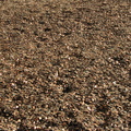 100,000,000 Pennies at Rockefeller Center