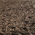 100,000,000 Pennies at Rockefeller Center