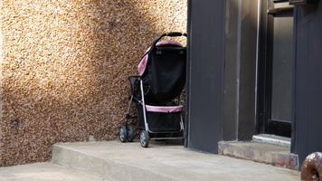 At the Front Door