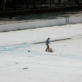 Astoria Pool Guy