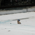 Astoria Pool Guy