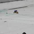 Astoria Pool Guy