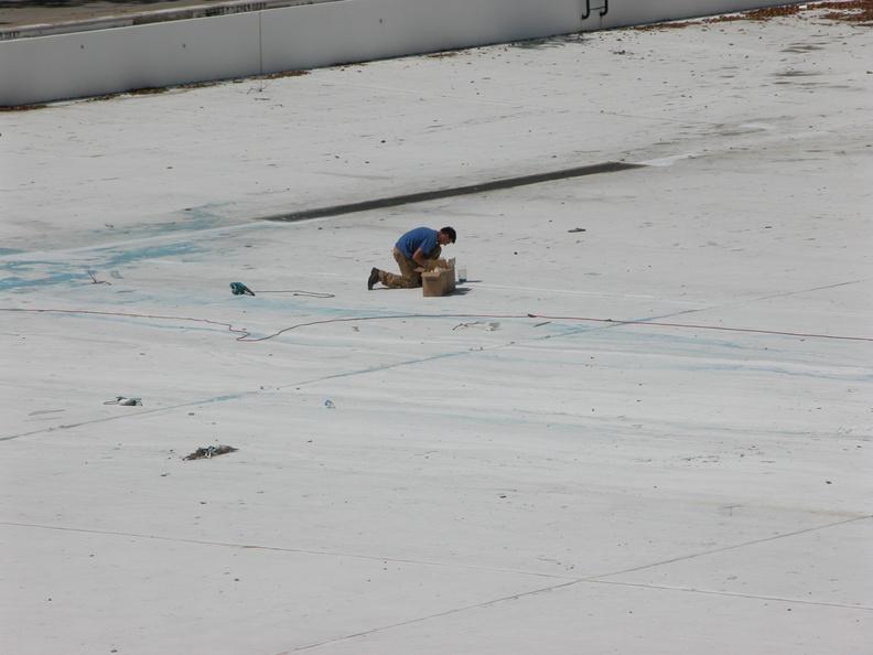 Astoria Pool Guy