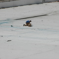 Astoria Pool Guy