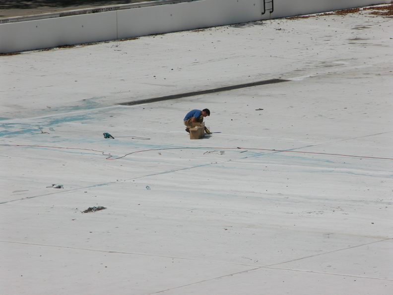 Astoria Pool Guy