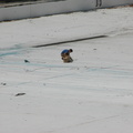 Astoria Pool Guy