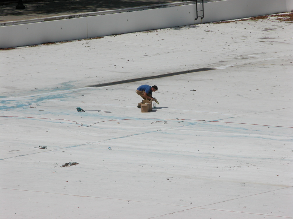 Astoria Pool Guy