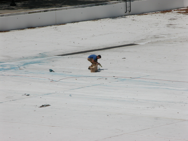 Astoria Pool Guy