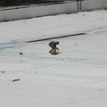 Astoria Pool Guy