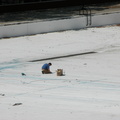 Astoria Pool Guy