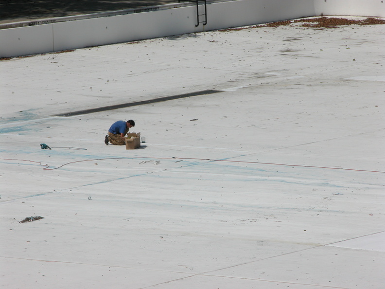 Astoria Pool Guy